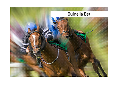 In photo: Two horses are in a race for first place.  Quinella Bet explanation and definition.