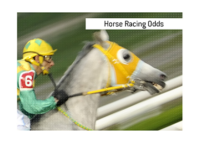 The ins and outs of understanding the horse racing betting odds.  In photo:  Going for the win!